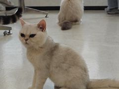 -共舞时光猫咖·狗咖(新街口店)
