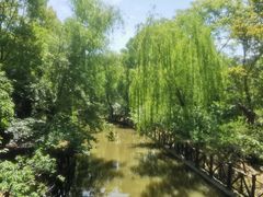 -南汇桃花村