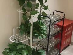 -智慧盲人按摩艾灸-颈肩腰膝疼痛调理(浦东店)