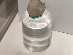 -正佳自然科学博物馆