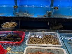 -钱山海鲜大排档