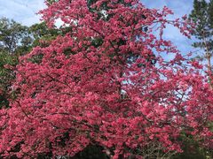 -广州市流溪河国家森林公园