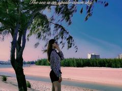 -东郊椰林