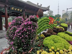-莲湖公园