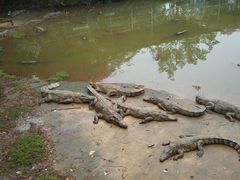-广东茂名森林公园