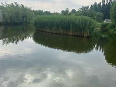 -白洋淀景区
