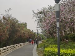 -立新湖公园