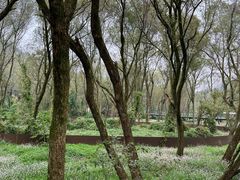 -西湖风景区-江洋畈生态公园