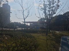 -上海第二工业大学(金海路校区)