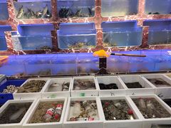 -长平肥姐白粥·海鲜打冷