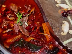 -蓉客成都火锅·招牌麻辣牛杂·特色香辣蹄花(凌水店)
