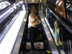 -东京塔海贼王主题公园