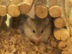 -龙猫仔乐园(惠福东路店)