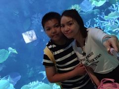 -暹罗海洋世界