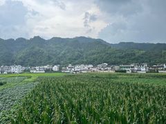 -绩溪龙川景区