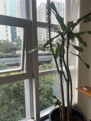 -阿南达·瑜伽普拉提·疗愈中心GZS