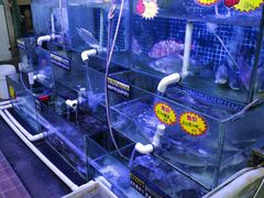 -八仔大富楼·河鲜(西江店)