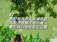 -长洲岛