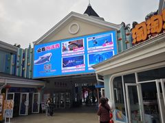 -海合安成都极地海洋公园