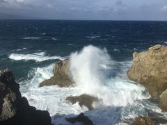 -龙坑生态保护区