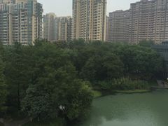 -青枫公园