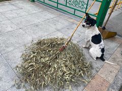 -正谊书院