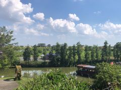 -江门古劳水乡旅游区