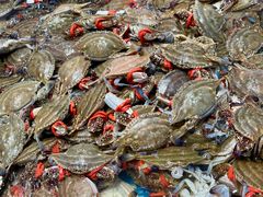 -半岛听涛蒸汽海鲜自助(K11店)