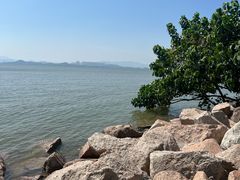 -深圳湾公园(南山区)