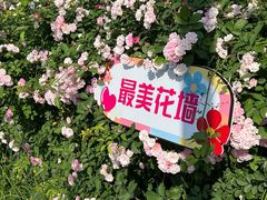 -南京国际青年文化中心