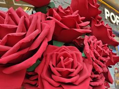 -上海龙之梦万丽酒店