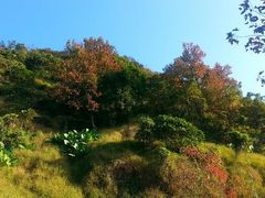 android_upload_pic-广州市石门国家森林公园