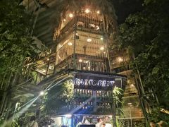 -Rainforest