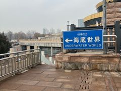 -太平洋海底世界