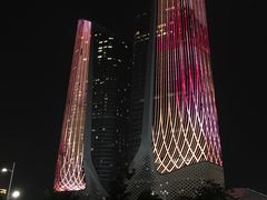 -南京国际博览中心酒店