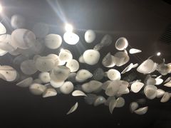 -和彩放题(渔阳店)
