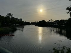 -新江湾城公园