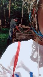 点击看大图 -KS COLOUR漂色·染发·画染