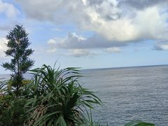 -广东惠东海龟国家级自然保护区