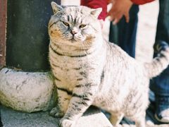 -无锡惠山寺