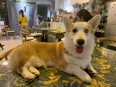 -平行世界·猫咖(首经贸店)