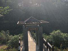 -洈水景区