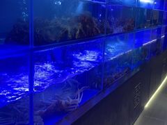 -隆聚时令海鲜(一舟店)