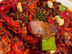 -杨氏青龙虾·羊蝎子(托乐嘉店)