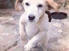-炊烟餐厅