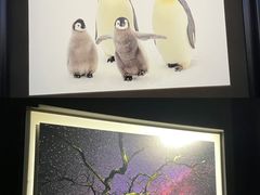 -罗红摄影艺术馆