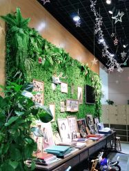 -WPlus明星肖像亲子全家福摄影