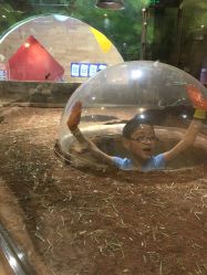 点击看大图 -宝燕乐园(闵行旗舰店)