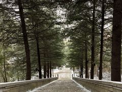 -鸡冠洞风景区