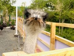 -水上乐园·欢乐世界